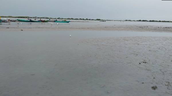 கடலோர பகுதிகளுக்கு செல்ல வேண்டாம்