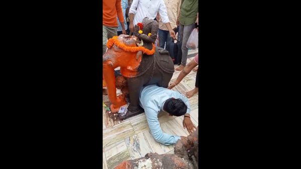 பரிதவிக்கும் காட்சிகள்