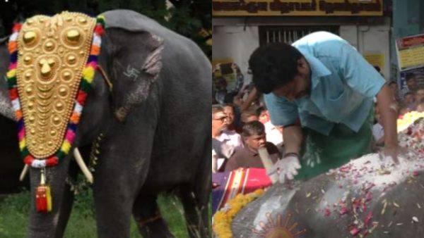 யானை லட்சுமி மரணம்