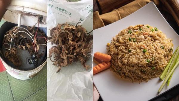 சாதாரண ரைஸ் 'ஃப்ரைட் ரைஸாக' மாறிய விசித்திரம்.. குக்கருக்கு அடியில் ...