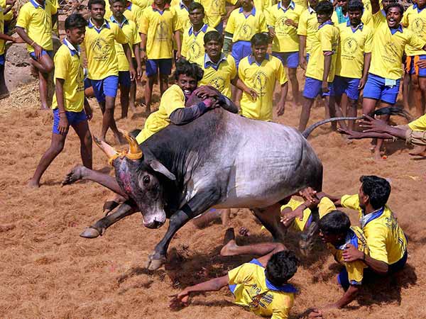 தாமரை