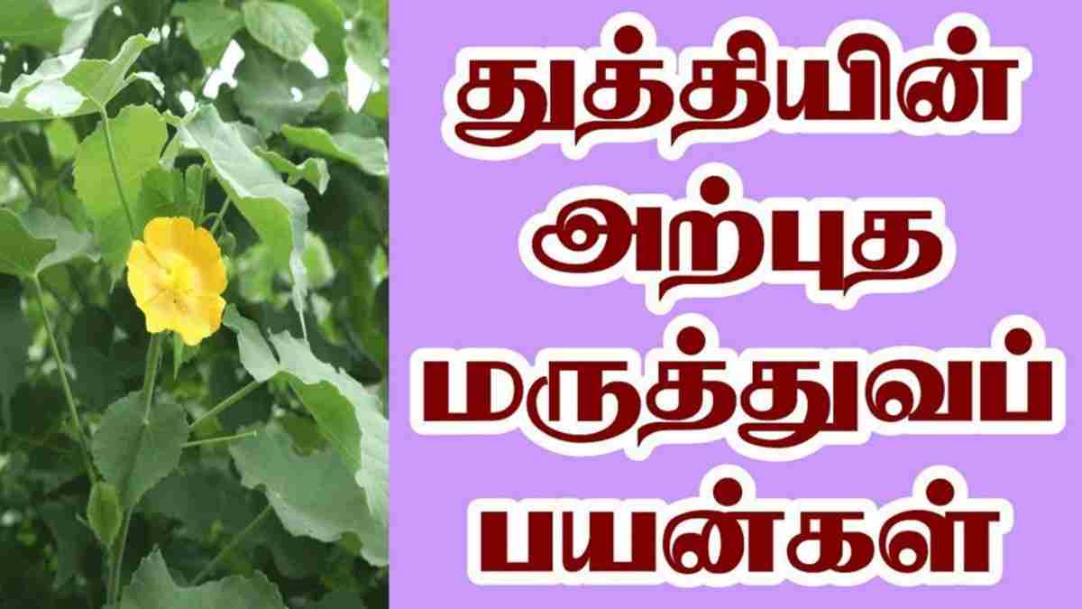 உடல் வெப்பம்..குறையும் விந்தணு உற்பத்தி..அற்புத மூலிகை இருக்க ஆண்மை