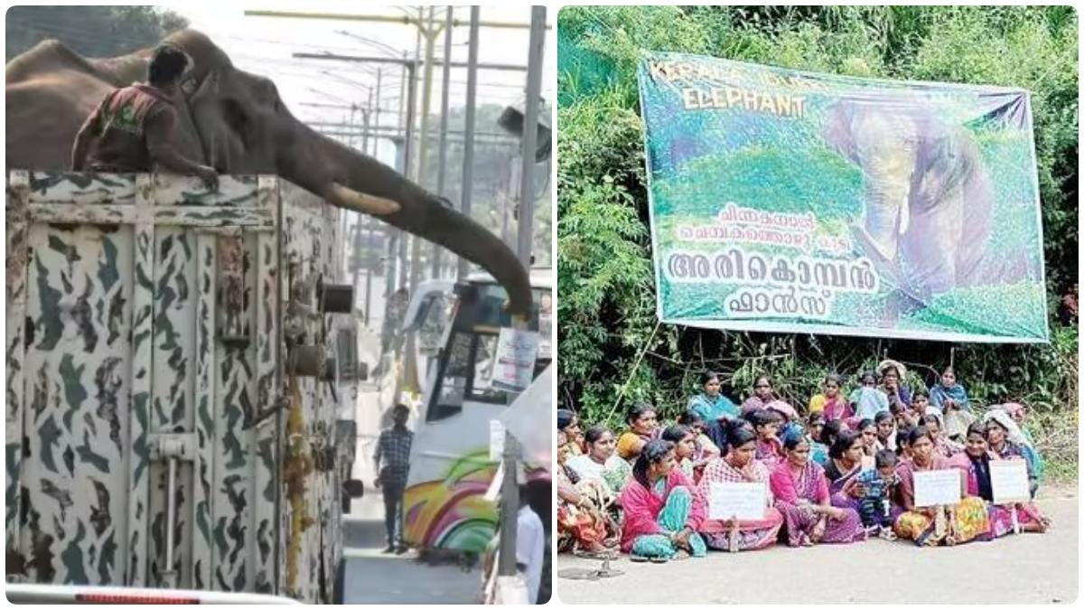 யானைக்காக யுத்தம்: அரிகொம்பன் எங்க ஊருக்காரன்..கொண்டு வந்துவிடுங்க.. கேரளாவில் வெடித்த போராட்டம்! 
