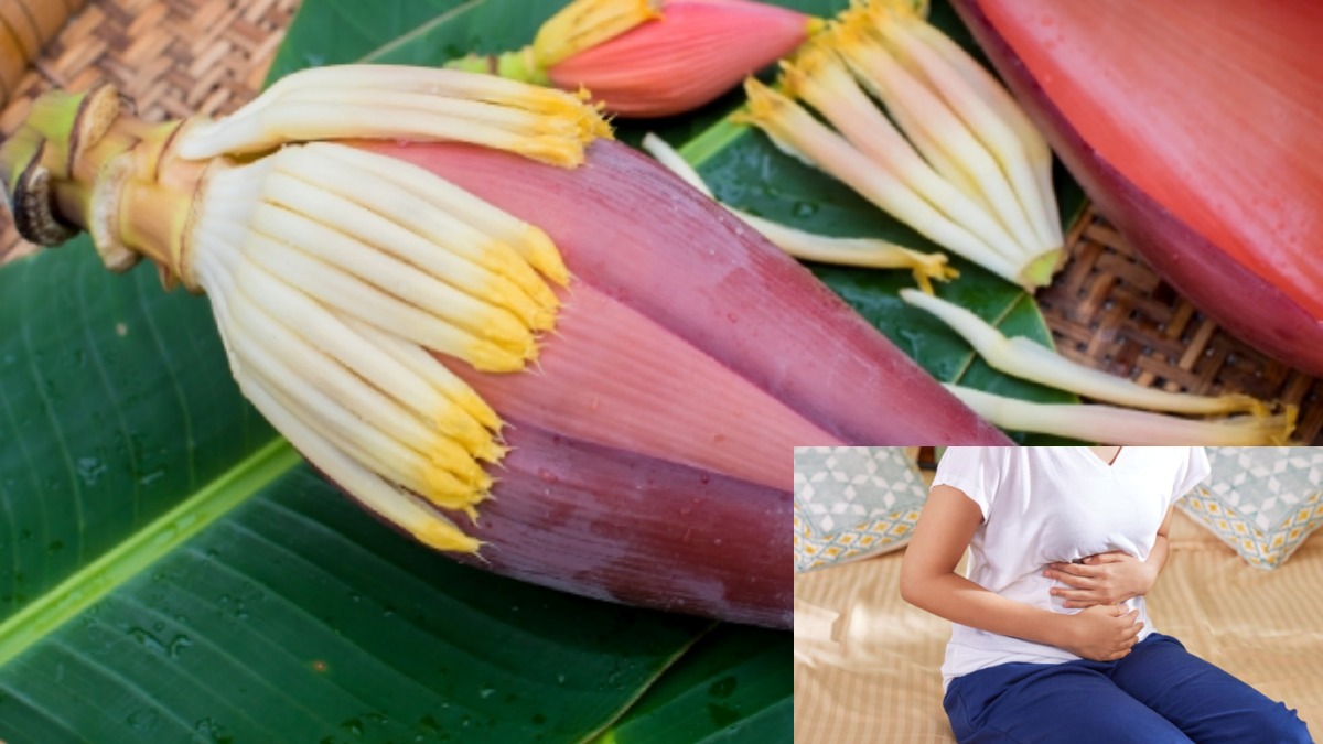 Banana Flower Benefits In Tamil Best Flower Site