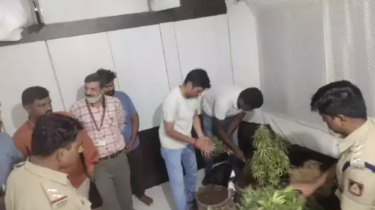 போனது மருத்துவம் படிக்க.. வளர்த்தது கஞ்சா.. இண்டெர்நெட் உதவி வேற.. கர்நாடகாவில் தமிழக மாணவர்கள் கைது 