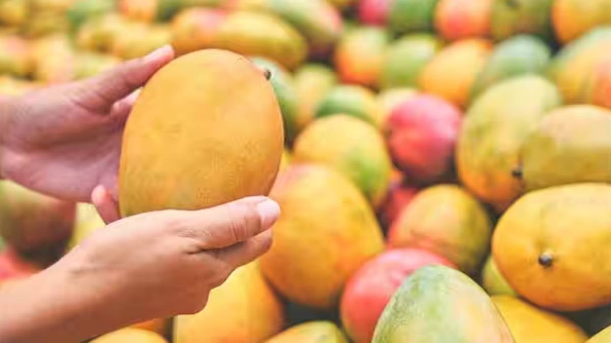 Various Healthy Benefits of Mango