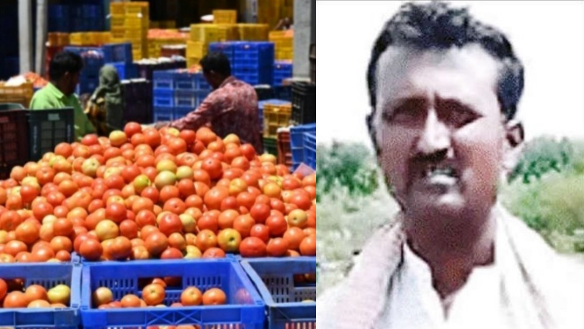 தக்காளி விவசாயிக்கு அடித்தது ஜாக்பாட்.. கொண்டு போனது கொஞ்சம் தான்.. கொட்டியது பண மழை 