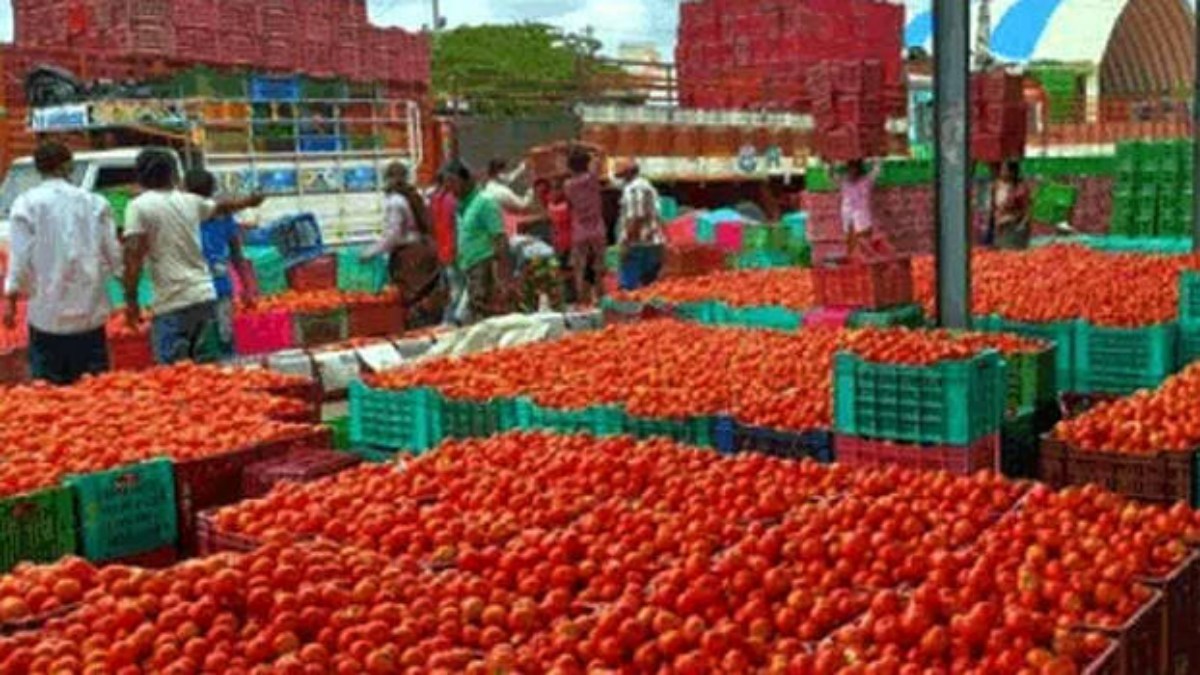 டன் கணக்கில் தக்காளி.. லாரியுடன் அலேக்காக அள்ளிய பலே திருடர்கள்! என்னப்பா இப்படி பண்றீங்களேப்பா 