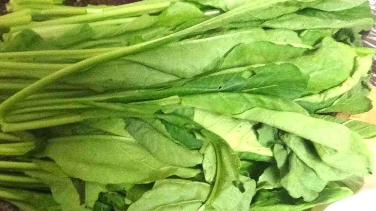 "முள்ளங்கி கீரை".. ஒரே இலையில் ஓராயிரம் தீர்வுகள்.. முள்ளங்கி