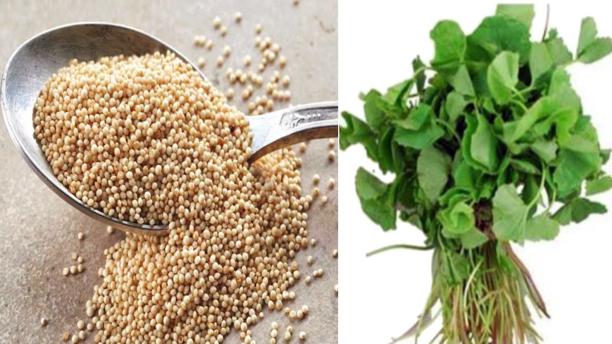 தண்டுக்கீரை செய்றீங்களா.. அதென்ன வெள்ளை கலரில் விதைகள்.. அள்ளி அள்ளி