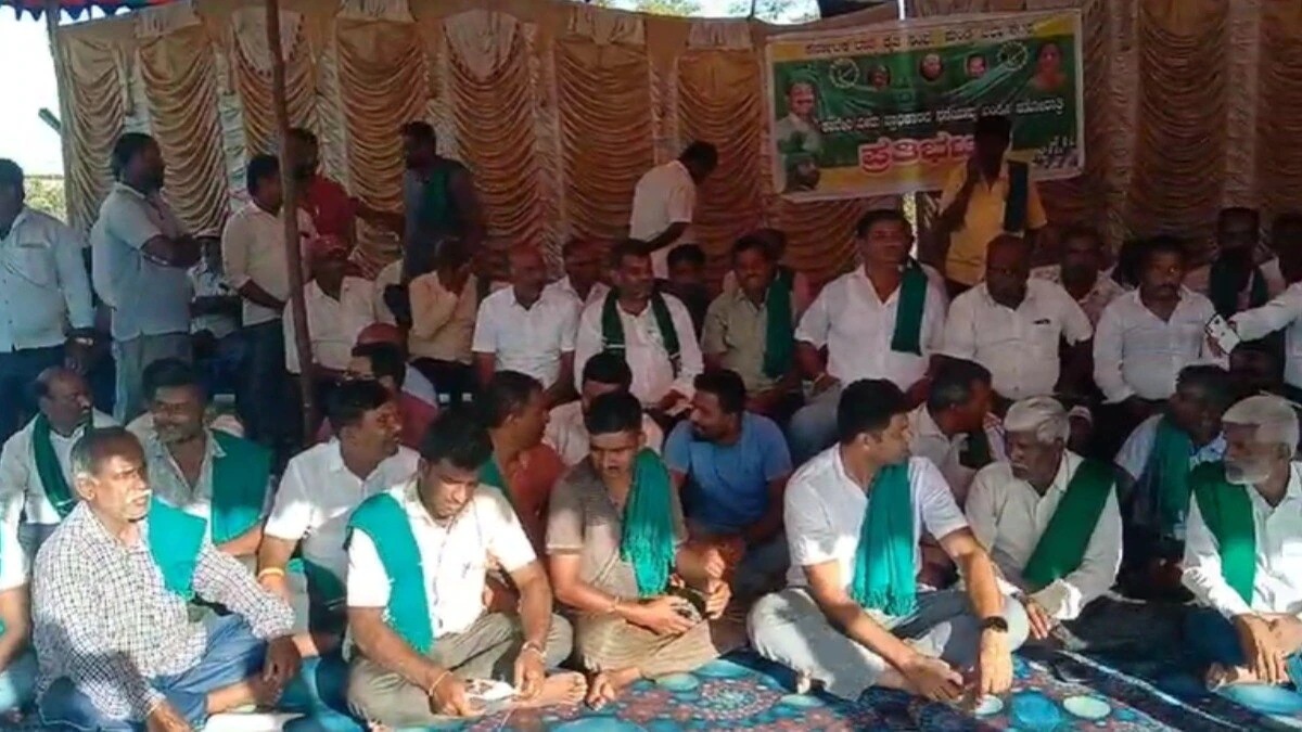 தமிழ்நாட்டுக்கு காவிரி நீரா? மண்டியாவில் 50-வது நாளாக 'இடைவிடா' போராட்டம் நடத்திய கன்னட  விவசாயிகள் 