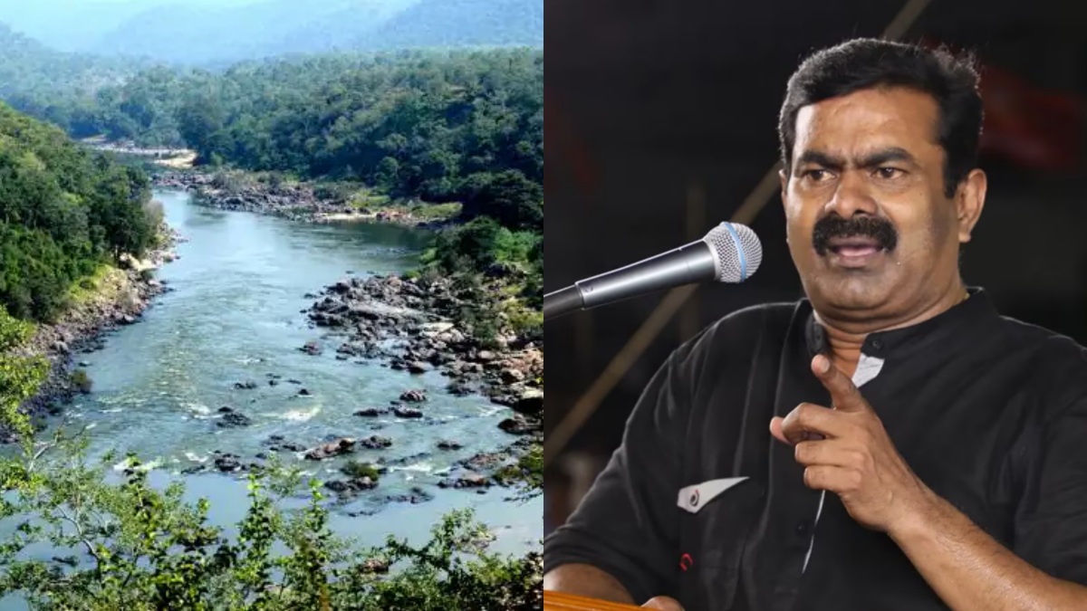 காவிரி: கர்நாடகாவை காலி செய்ய சீமான் அதிரடி ஐடியா- 'மின்சார ஒழுங்காற்று குழு- மேலாண்மை ஆணையம்'!