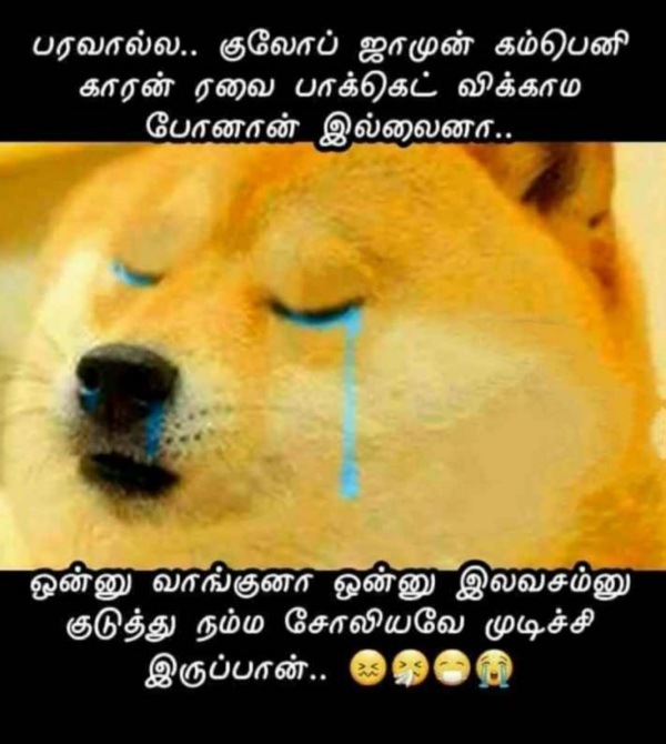 குருவி வெடில குருவியோட மூக்கு ‘இப்டி’ இருந்தா.. அது நிச்சயமா சீனப்
