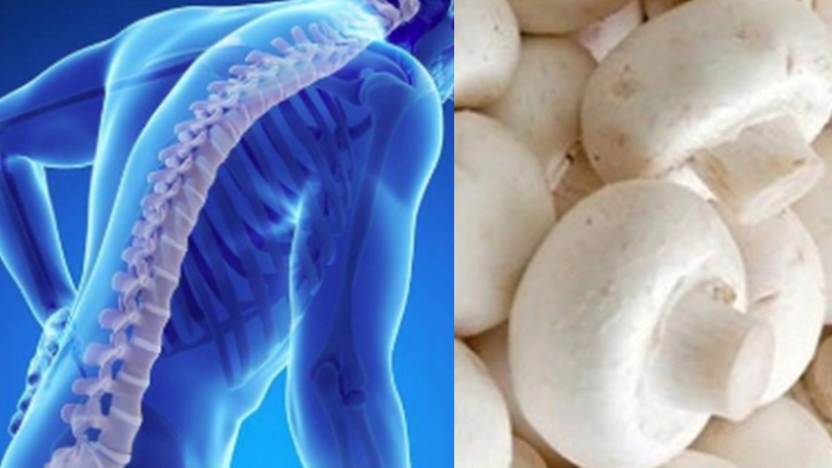 மட்டன் மாதிரியே.. ருசியும், சத்தும் நிறைந்த காளான்.. எலும்பு