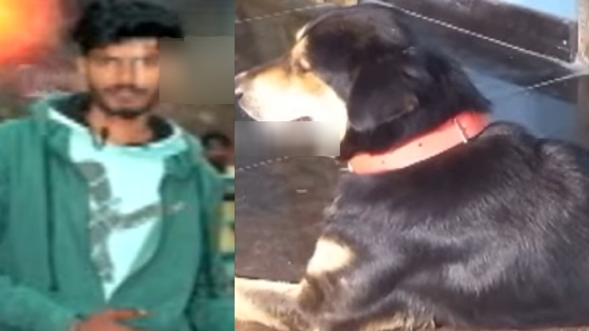 நாயால் இறந்த மகன்.. நாய் உருவத்திலேயே வீட்டிற்கு வந்ததால் ஷாக்? மொத்த ஊரே அலறியதால் அதிர்ச்சி 