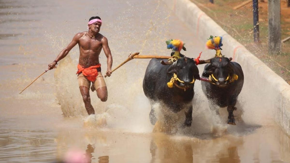 பெங்களூர் மக்கள் கண்முன்னே நிஜமாக நடக்கப்போகுது 