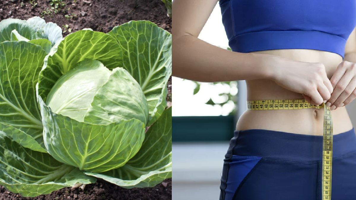 முட்டைகோஸ்.. தலை முதல் கால் வரை ஆச்சரியம்.. முட்டைகோஸில் இத்தனை நன்மையா