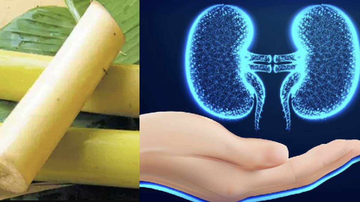 வாழைத்தண்டு.. துண்டு போதுமே.. மொத்த கல்லையும் கரைக்கும் வாழைத்தண்டு