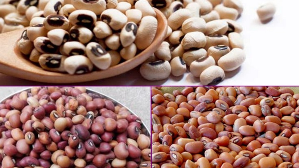 காராமணி.. கடகடன்னு வெயிட் குறையுது பாருங்க.. கர்ப்பிணிகளின்