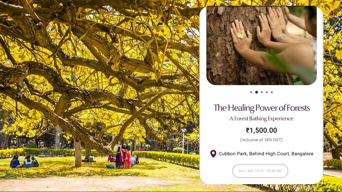 அடப்பாவமே? மரத்தை கட்டிப்பிடிக்க ரூ.1,500.. பெங்களூரில் அறிமுகமான வனக்குளியல்.. இதுலாம் ரொம்ப ஓவர்! 