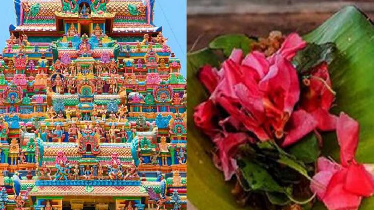 லண்டன் செல்லவிருந்த நர்ஸ் பலி! கேரள கோயில்களில் அரளிப் பூக்களுக்கு தடை விதித்த தேவஸ்வம் போர்டு! 