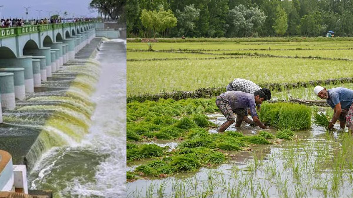  துள்ளி வருது காவிரி.. கனமழை + கர்நாடகா நீர் திறப்பால் சட்டென சீறிப் பாய்ந்து வரும் தண்ணீர்!