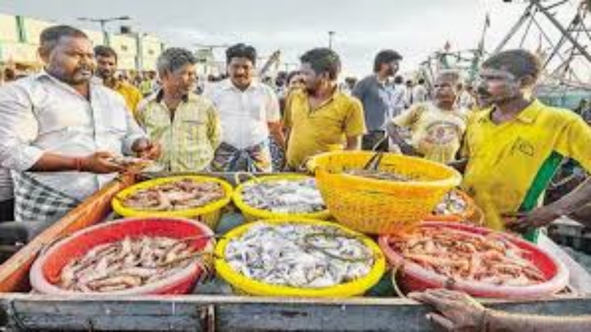 முரல் மீனும் வரல.. நெத்திலி தந்த நிம்மதி.. சென்னை காசிமேட்டில் விழுந்த கேரளா இடி.. கடல்லயே இல்லையாமே