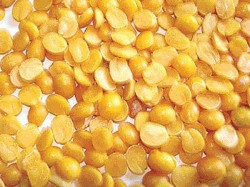 Toor Dal News In Tamil Latest Toor Dal Tamil News Updates Videos Photos Oneindia Tamil