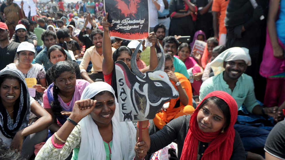 ஜல்லிக்கட்டு போராட்டத்தில் பெண்கள்