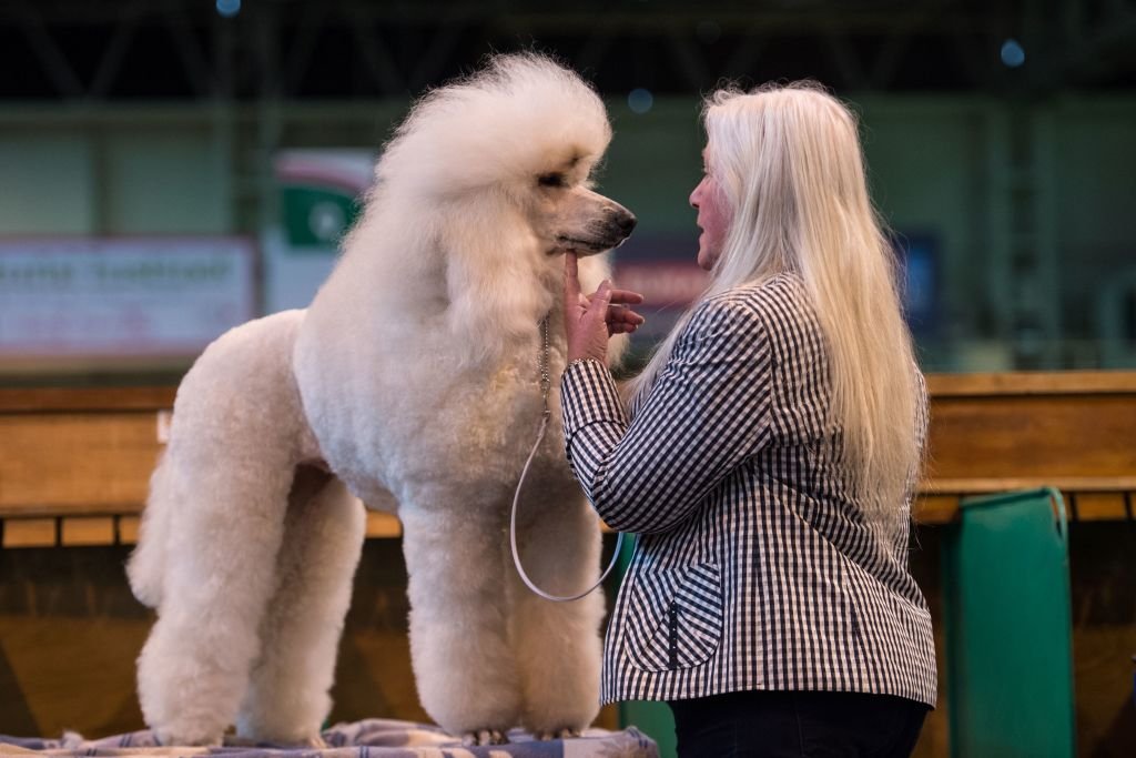 பேரழுகு செல்லப்பிராணிகள் : இங்கிலாந்தில் நடைபெறும் பிரம்மாண்ட கண்காட்சி (புகைப்படத் தொகுப்பு)