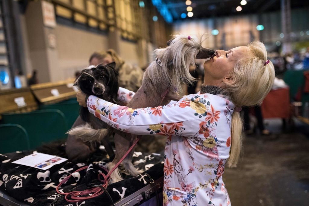 பேரழுகு செல்லப்பிராணிகள் : இங்கிலாந்தில் நடைபெறும் பிரம்மாண்ட கண்காட்சி (புகைப்படத் தொகுப்பு)