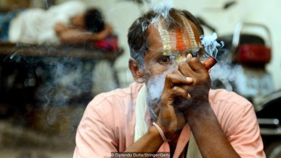 இந்துமத கொண்டாட்டங்களில் ஒன்றான சிவராத்தி மற்றும் ஹோலியின் போது பாங் ஒரு முக்கிய பங்கை ஆற்றுகிறது. இந்துமத கொண்டாட்டங்களில் ஒன்றான சிவராத்தி மற்றும் ஹோலியின் போது பாங் ஒரு முக்கிய பங்கை ஆற்றுகிறது.