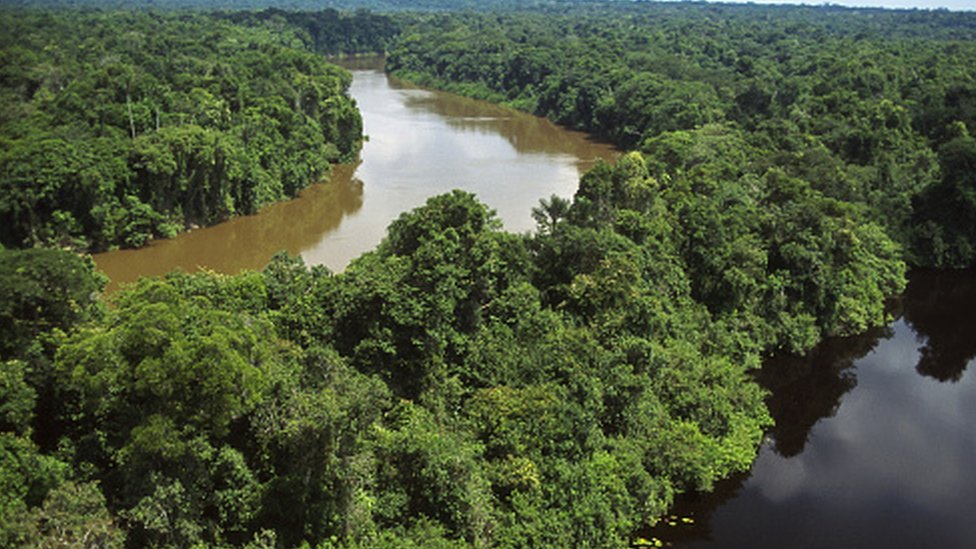 அமேசான்