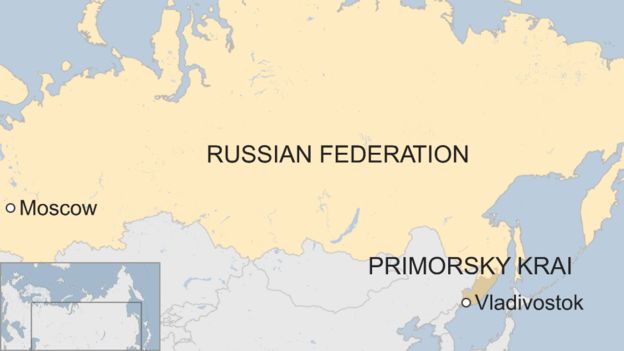 கேமராவில் பதிவான புலிக்குட்டிகளின் செல்ஃபீகள்