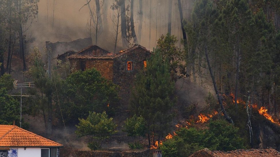 போர்ச்சுகலில் அண்மையில் ஏற்பட்ட தீ விபத்தில், பலர் கடைசி நிமிடங்களில்தான் தப்பிக்க முயன்றனர்