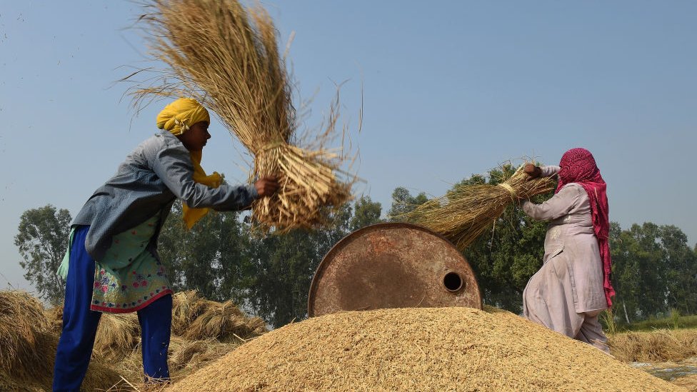 பண மதிப்பிழப்பு: 'ஒரு தரைவிரிப்பு குண்டுவீச்சு'