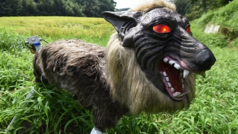 ரோபோ ஓநாய்