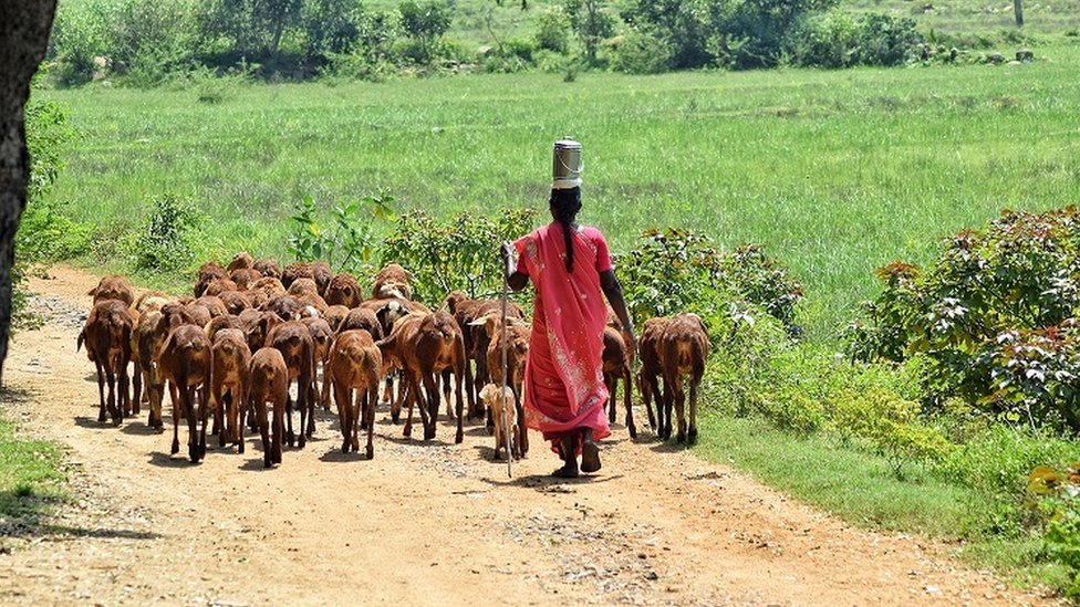 கே.ஈஸ்வரமூர்த்தி, செங்கல் பட்டு