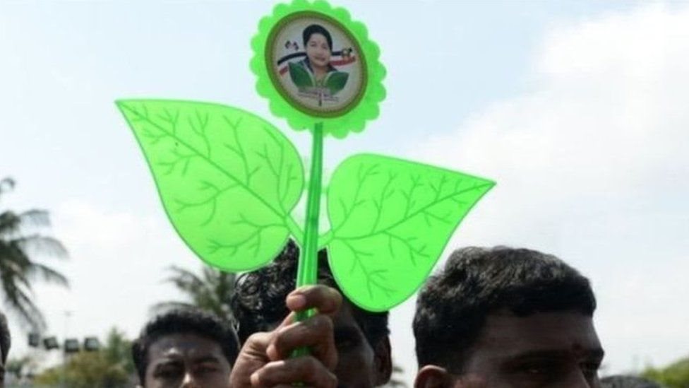 அ.தி.மு.கவை மீட்கும் போராட்டத்தை சசிகலா நடத்துவார்: டி.டி.வி. தினகரன்