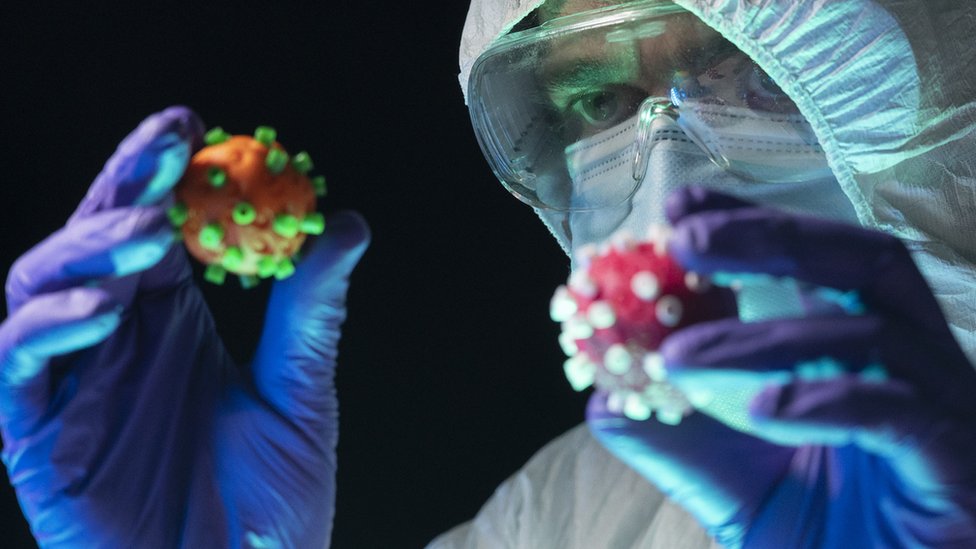 கொரோனா வைரஸ்