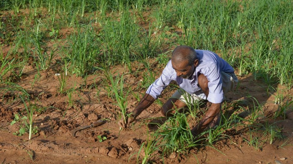 விவசாயி விவசாயி