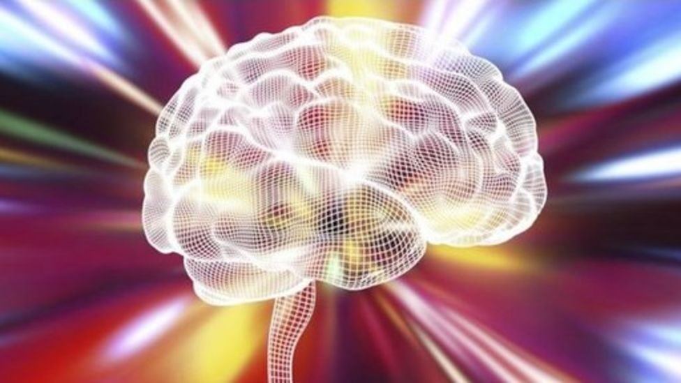 மூளை மூளை