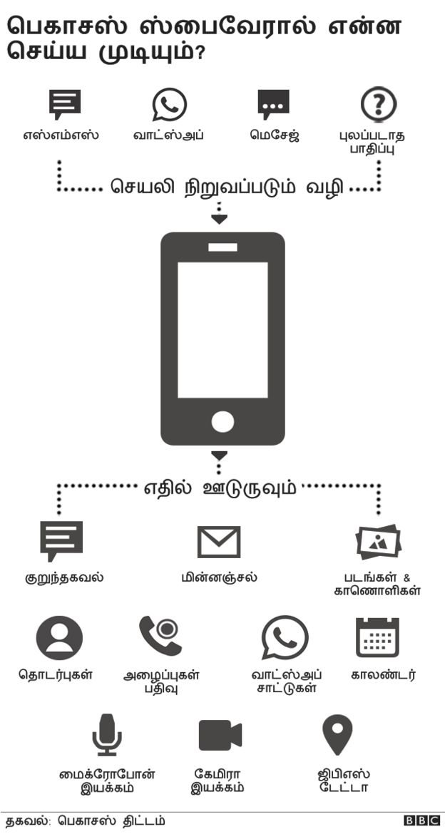 பெகாசஸ்