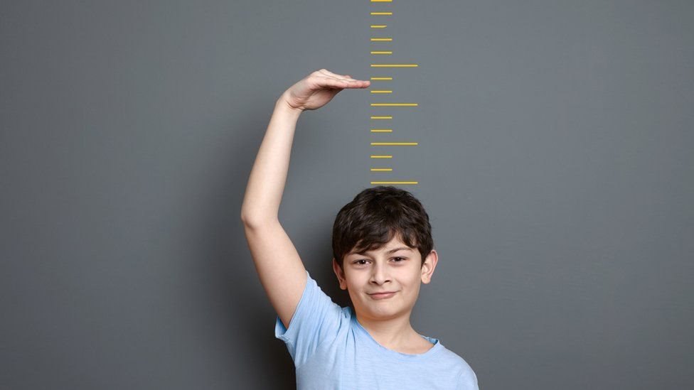 What is the reason behind the increase in human height?