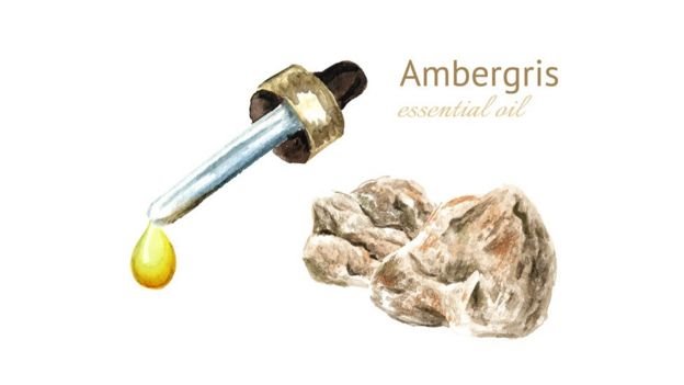 அம்பர் கிரிஸ் அம்பர் கிரிஸ்