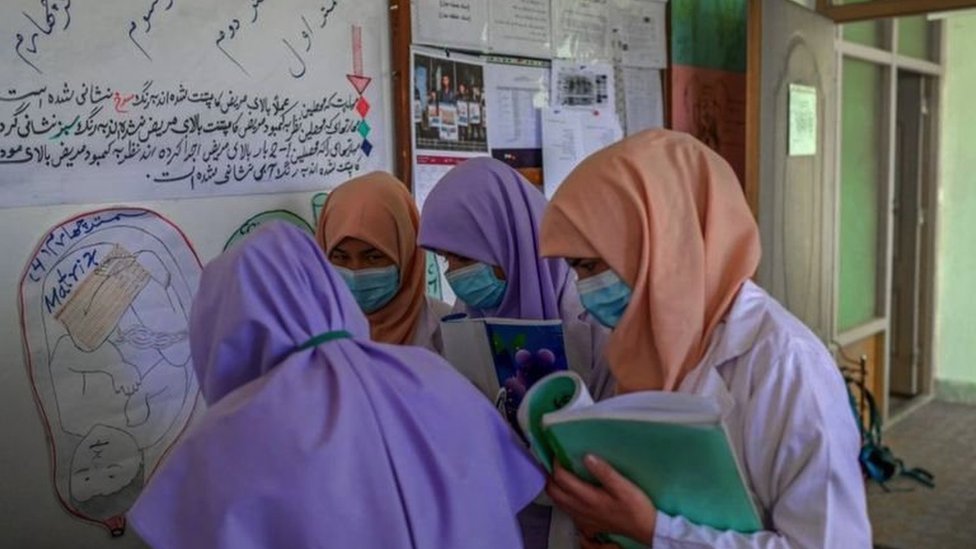 பெண்கள் பெண்கள்