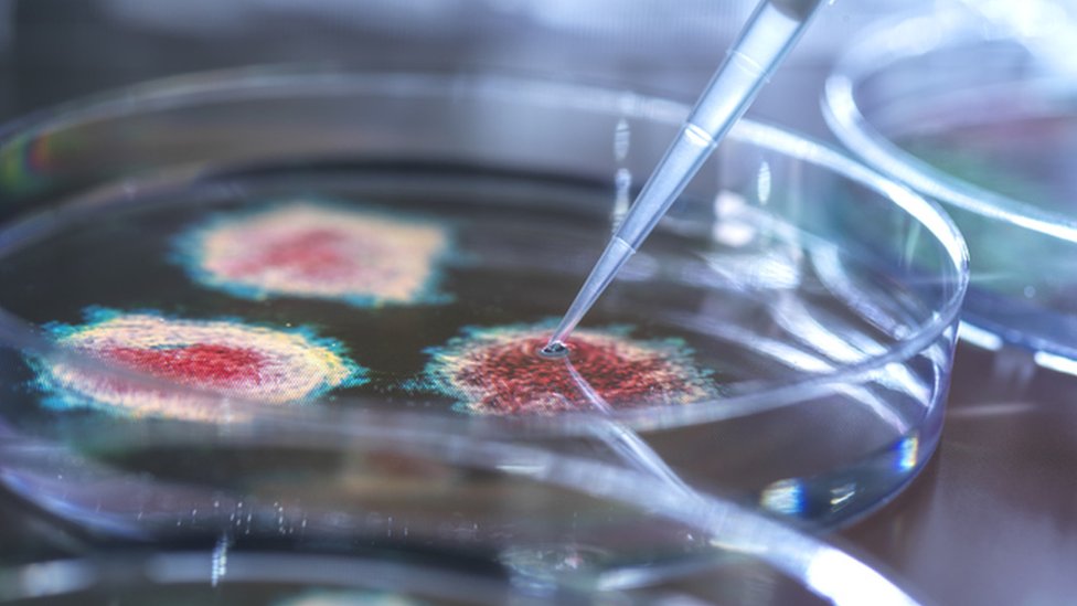 கொரோனா வைரஸ் கோப்புப் படம்