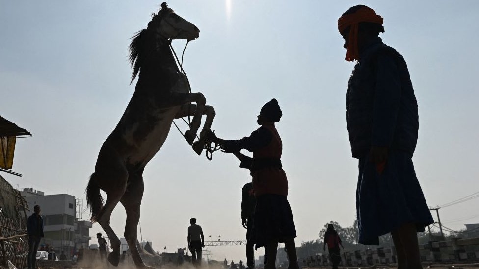 சிங்கு எல்லையிலிருந்து கலைந்து போகும் சீக்கியர்கள்.