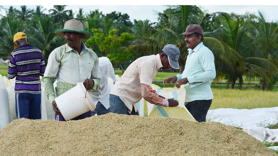 Srilankan Food shortage 1 Srilankan Food shortage 1