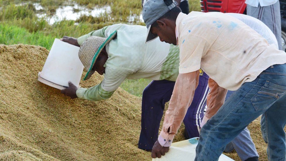Srilankan Food shortage 4 Srilankan Food shortage 4